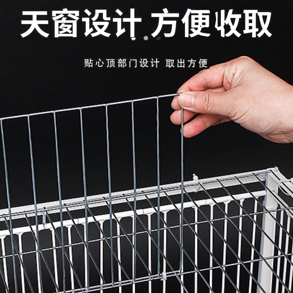 鸟笼实物图