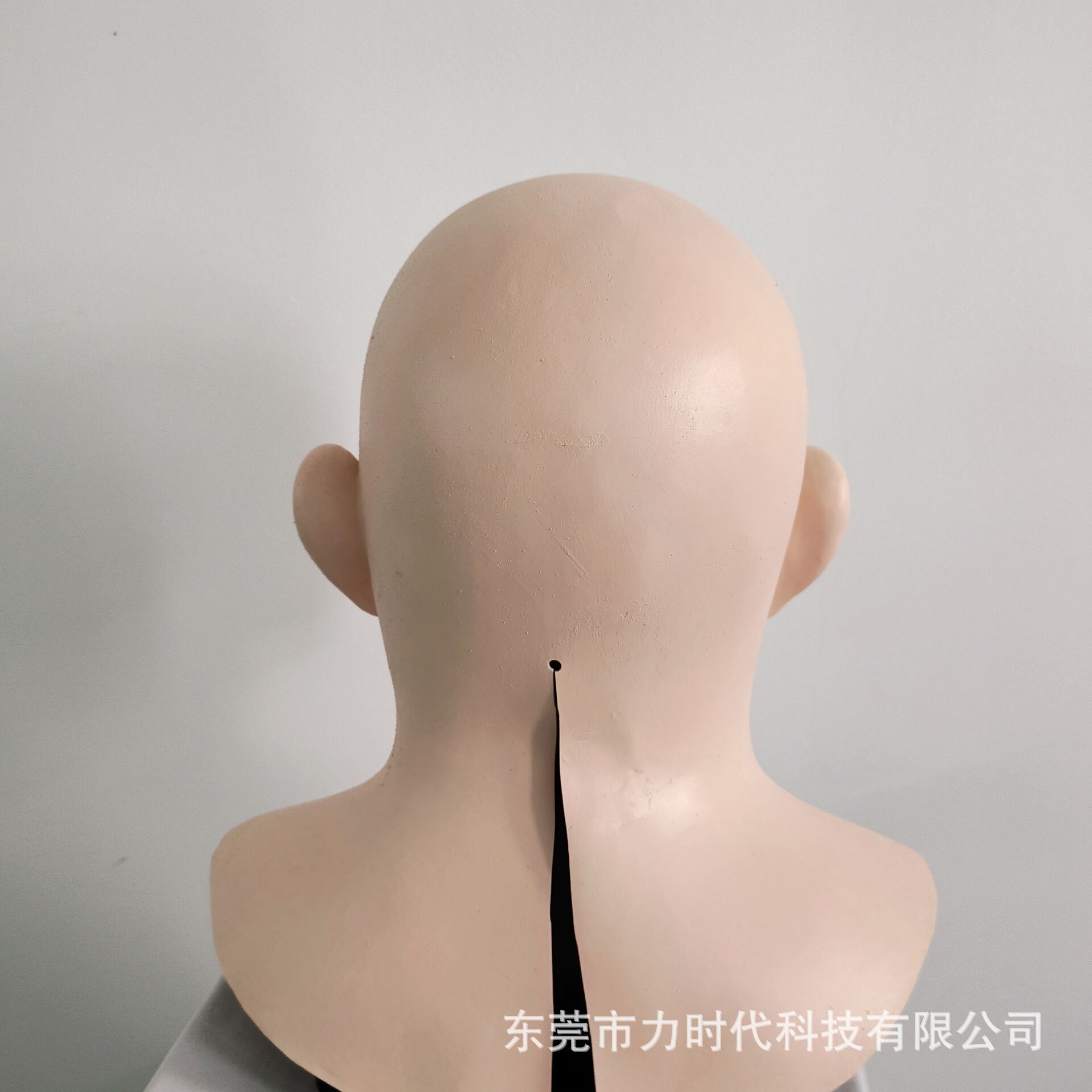 import细节图
