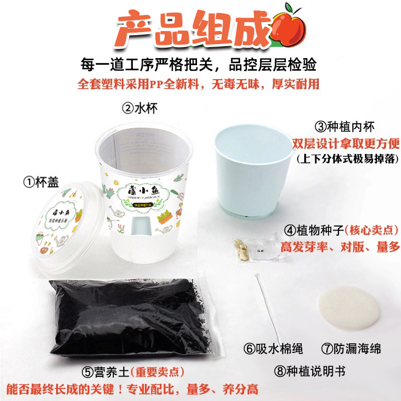 虞小鱼 绿植小盆栽DIY种植罐头花儿童桌面礼物蕨类植物情绪稳定盆栽优选细节图