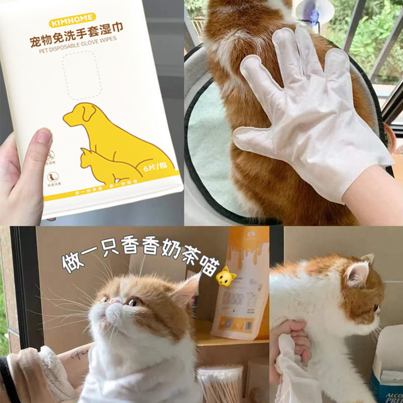 宠物用品亚马逊爆款猫咪免洗手套6片装一次性宠物擦拭湿巾手套详情图4