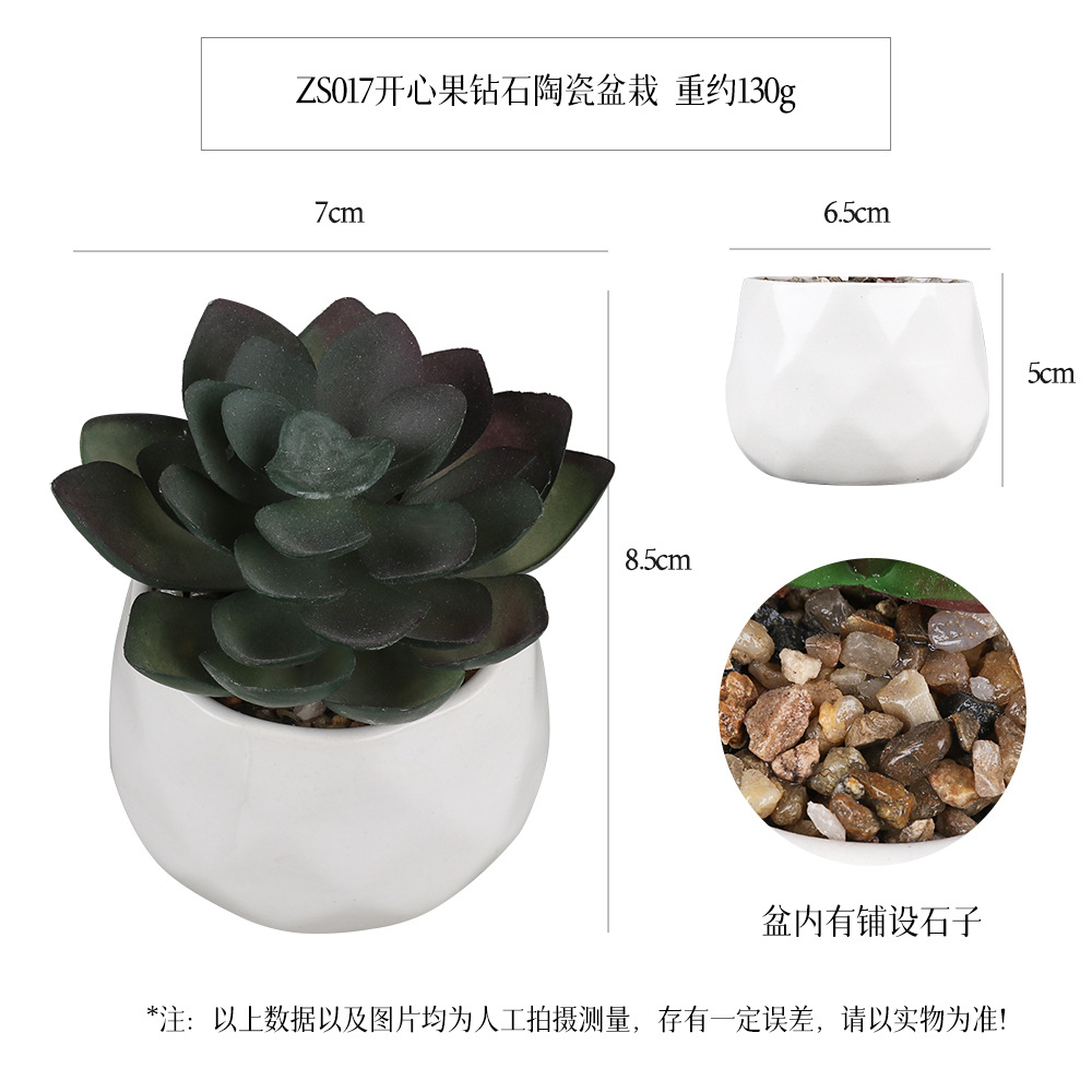 Amazon Simulation Succulent Ceramic Pot 6-piece Home Decoration simulation plant succulent bonsai set Application Scenario