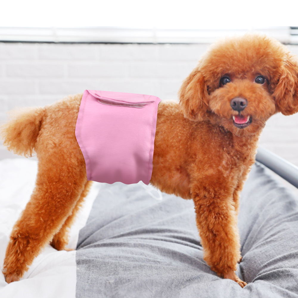 Pet clothing, pet dog diapers, male dog physiological pants, washable baby dog clothes, anti-harassment cat and dog clothing supplies Specification image