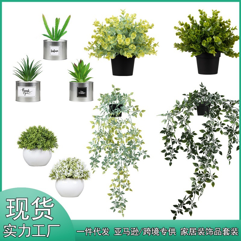 import白底实物图