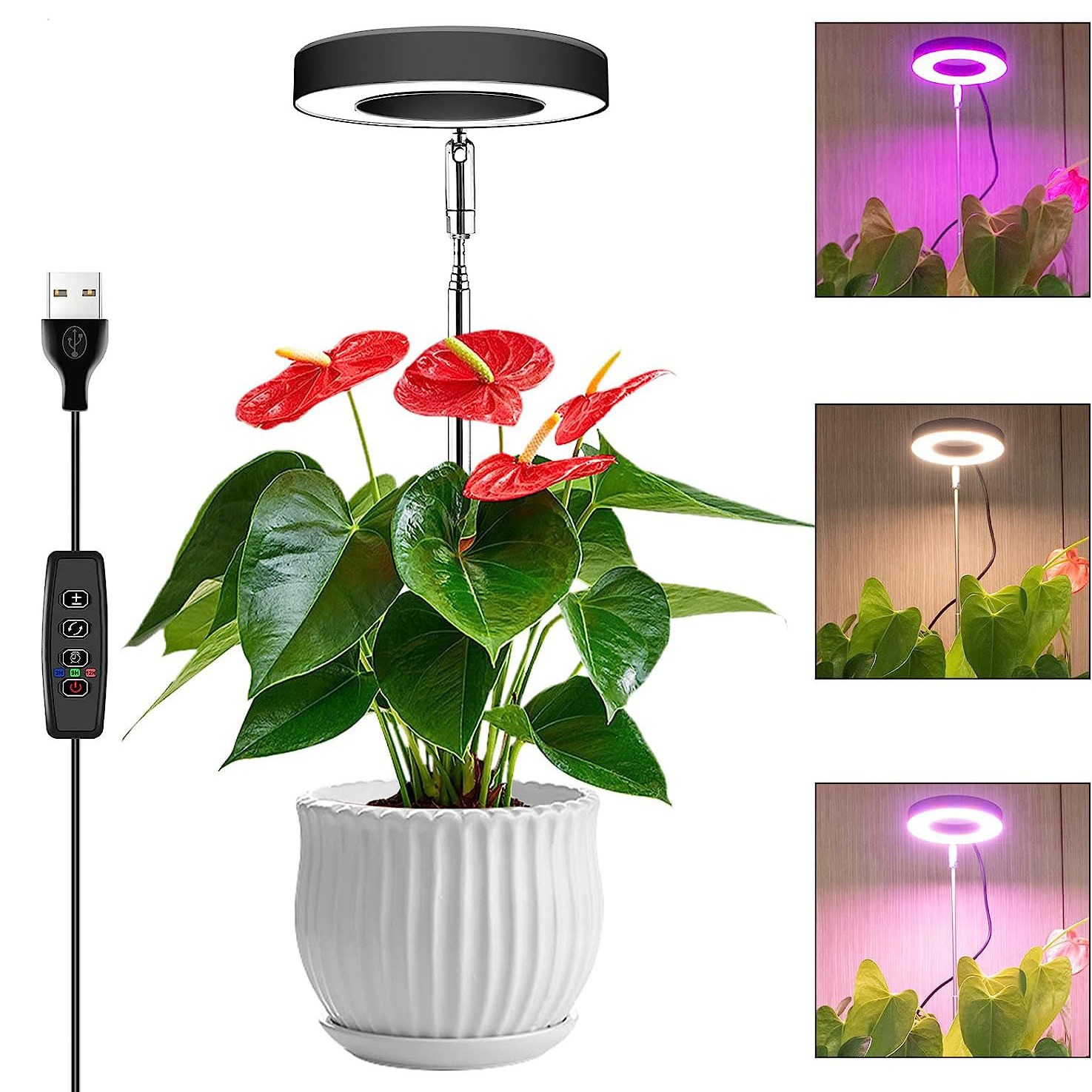 Retractable sunlight-like LED plant growth lamp, USB full-spectrum succulent lamp, seedling lamp, rose and aquatic plant supplementary lighting lamp Item Picture