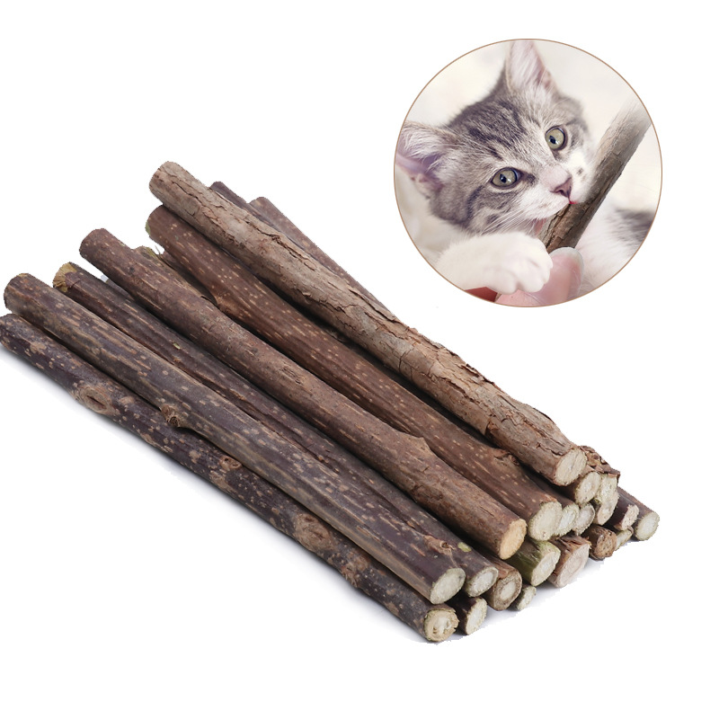 Polygonum wood stick cat molar stick Natural cat snacks Polygonum wood 5 pieces of cat molar stick cat supplies in stock