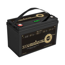 12V lithium iron phosphate battery 170AH large capacity 3000 cycles solar energy storage backup power supply