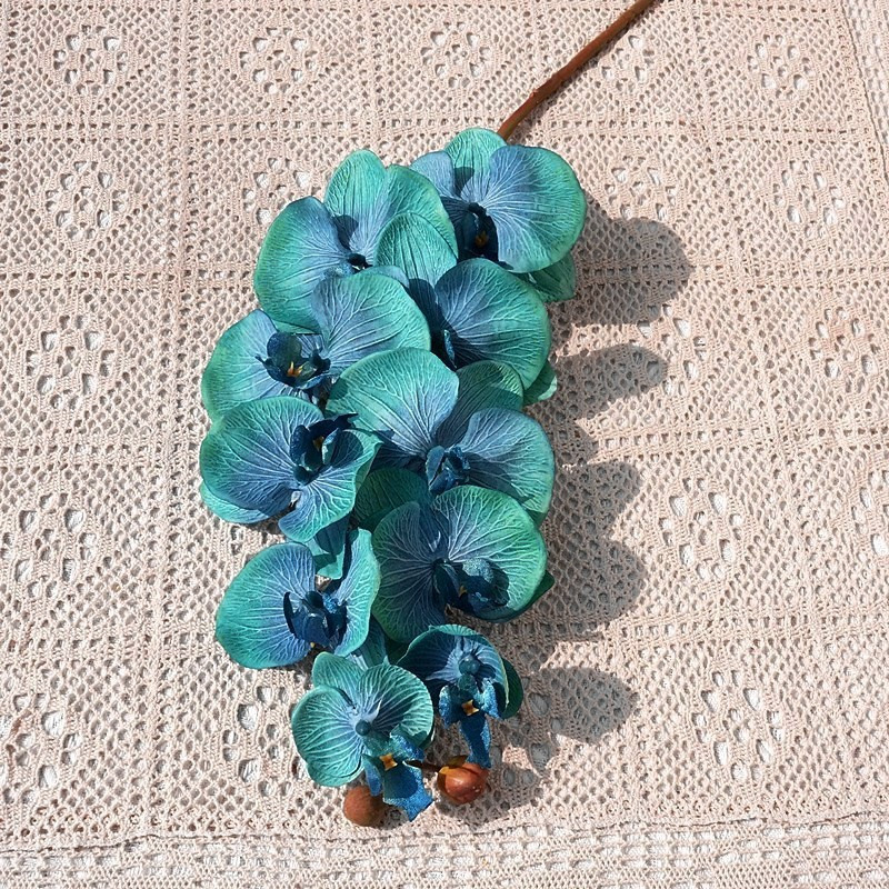 仿真植物实物图