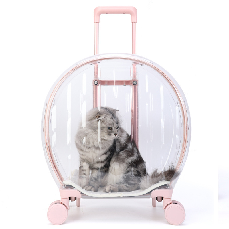 Manufacturers spot large capacity pet trolley box with pulley pet cat bag trolley box Cat trolley box
