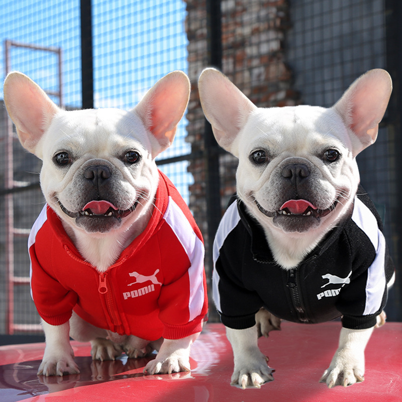 宠物衣服秋冬季保暖潮牌卫衣字母法斗比熊狗狗猫咪小中大型犬用品