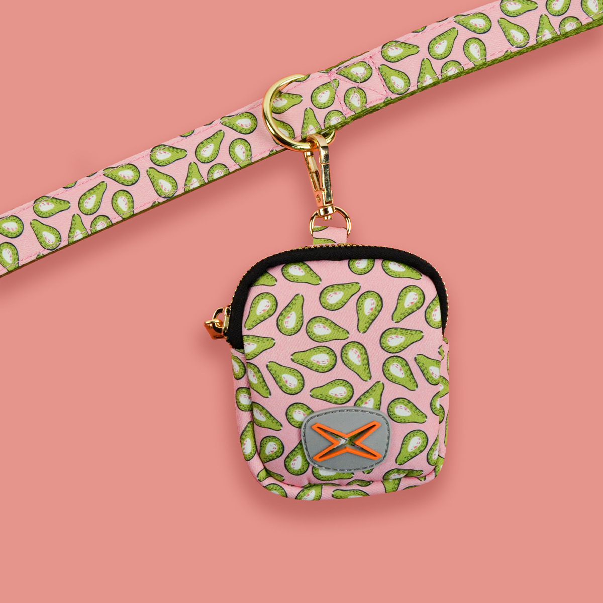 New cross-border summer cute pet leash & garbage collector with double-sided printing for pet cat and dog festivals Application Scenario