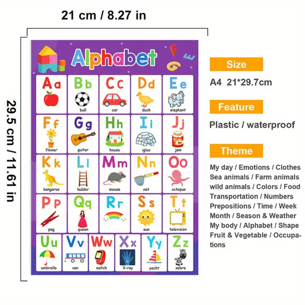 跨境现货英文挂图学习主题认知时间水果颜色动物身体儿童教育海报详情3