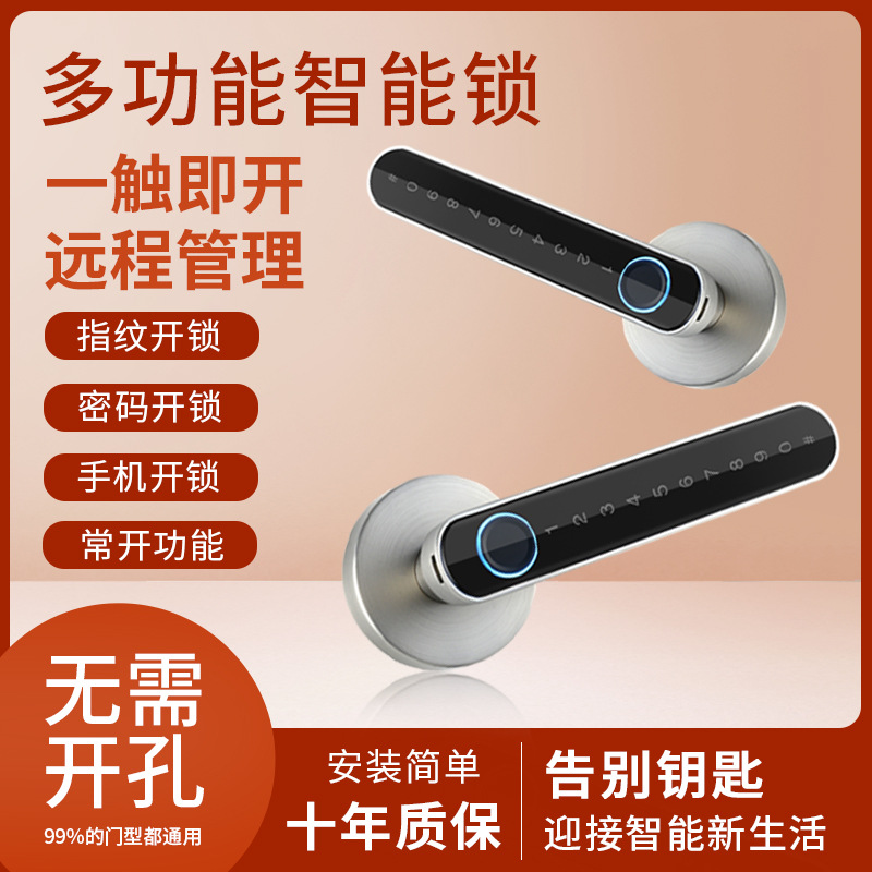 Smart Fingerprint Lock Manufacturers Support Graffiti All Smart Lock Apartment Home Anti-Theft Password Door Fingerprint Lock details Picture
