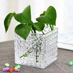 Vase Square glass Cube vase Fish tank Clear glass vase full figure
