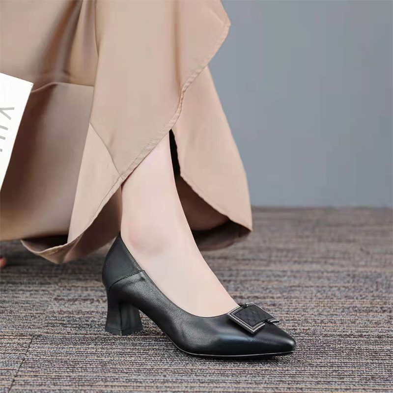 The First Layer Of Cowhide 2022 Spring New Leather Fashion Thick Heel Women's Shoes Shallow Mouth Casual Pointed Single-Shoe High Heels Specification drawing