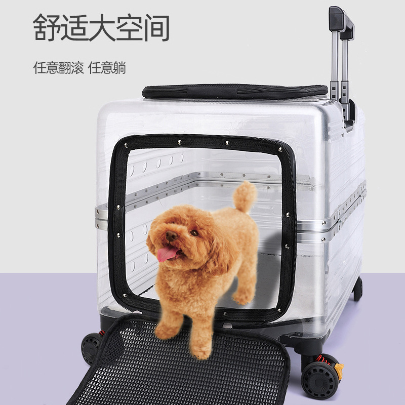 Pet trolley case, fully transparent portable cat bag, large-capacity two pet aviation cases, large dog outings bag Application Scenario
