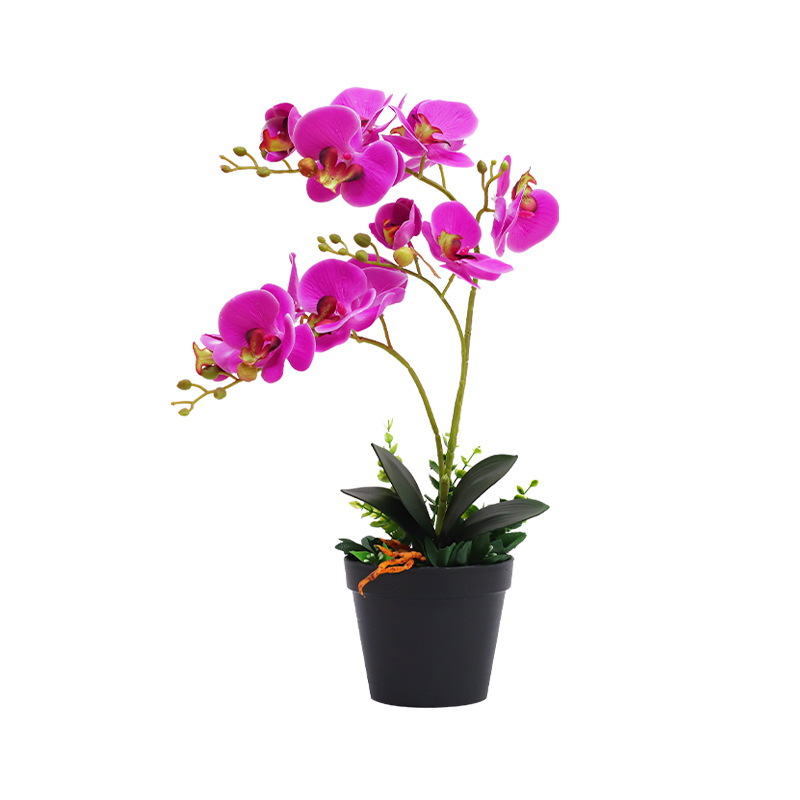 Artificial flower ornaments, artificial Phalaenopsis small potted plants, artificial flowers, living room table decorations, decorative flowers and green plants wholesale Item Picture