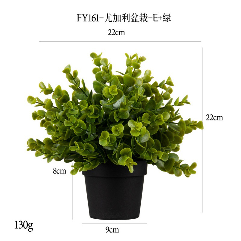 import细节图