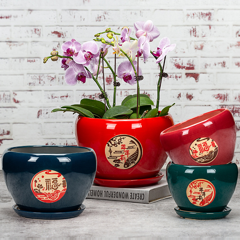 Phalaenopsis Flower Pot Thickened Large Flower Pot Ceramic With Separate Tray Extra Large Simple Personality Household Green Pot Application Scenario