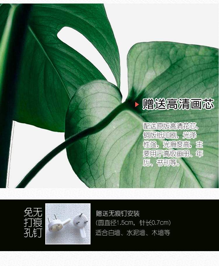 相框、画框实物图