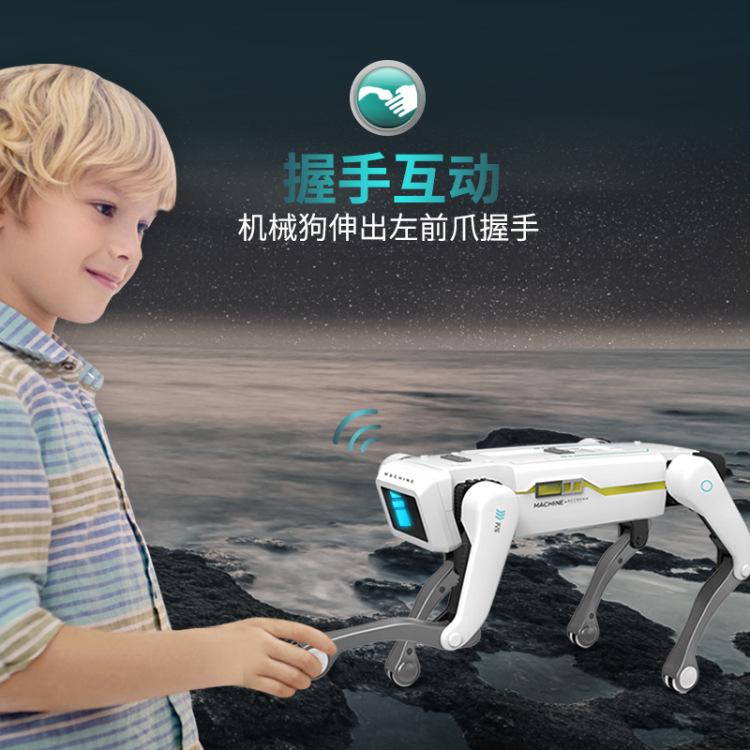 import细节图