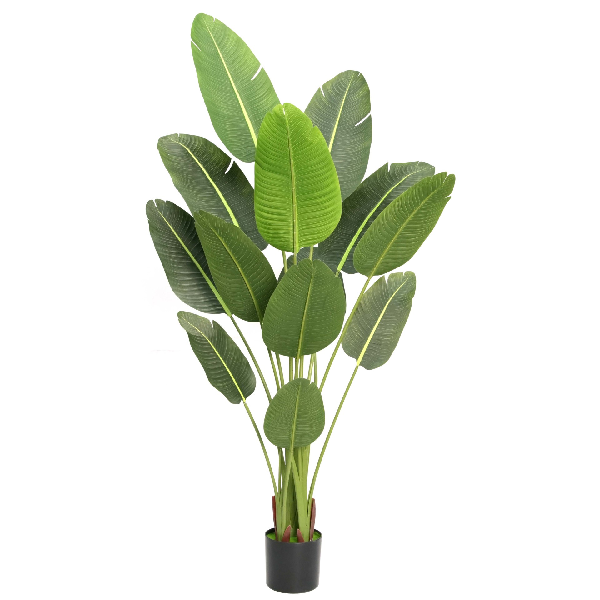 花束/仿真植物/绿植摆件/绿植装饰/竹子装饰白底实物图
