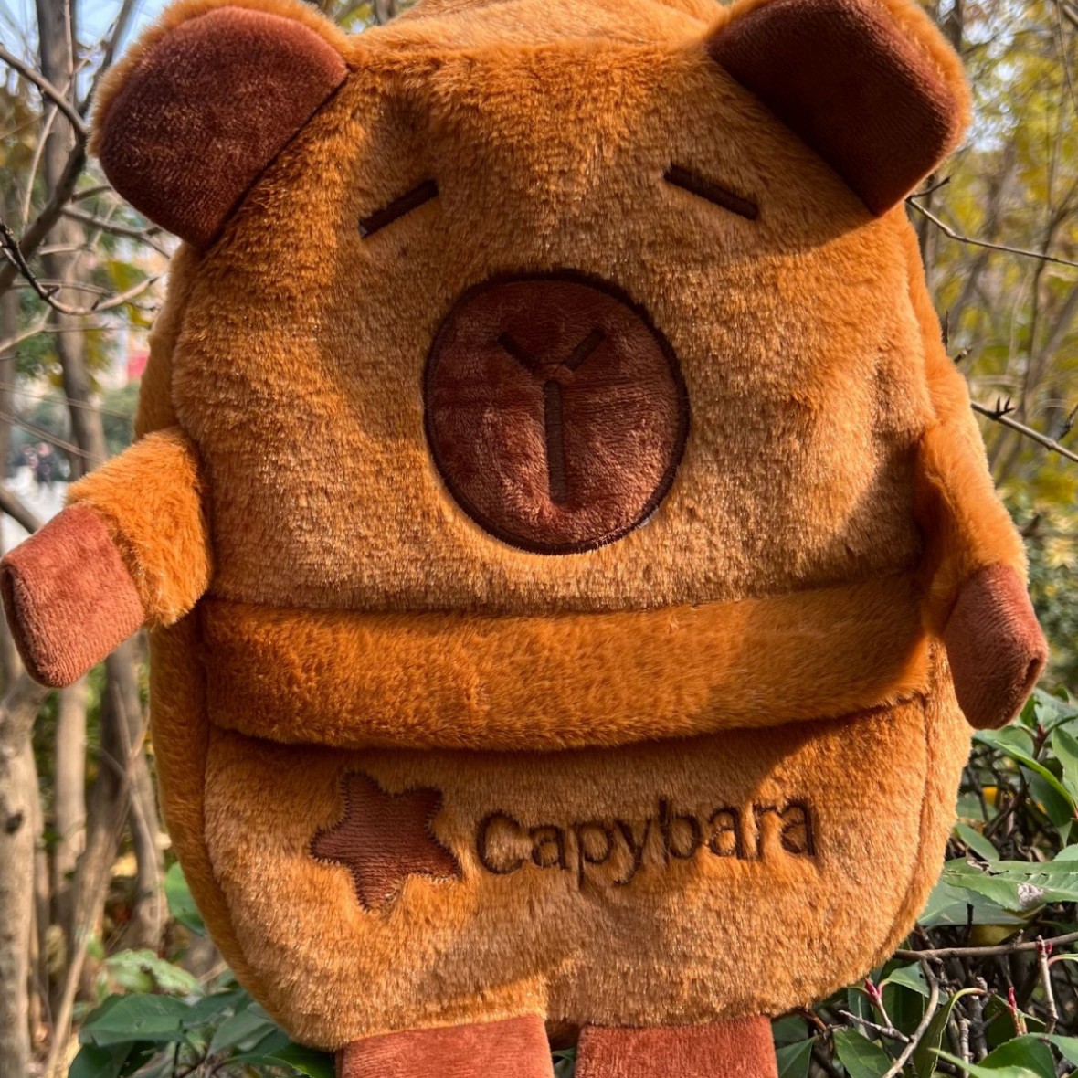 超萌卡通刺绣水豚小手小脚双肩包可爱百搭毛绒高级感玩偶双肩包