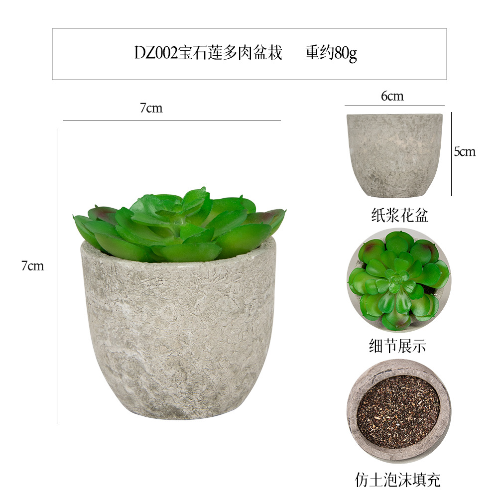 Amazon Simulation Succulent Pulp Pot 5-piece Home Decoration simulation Plant succulent bonsai set Item Picture