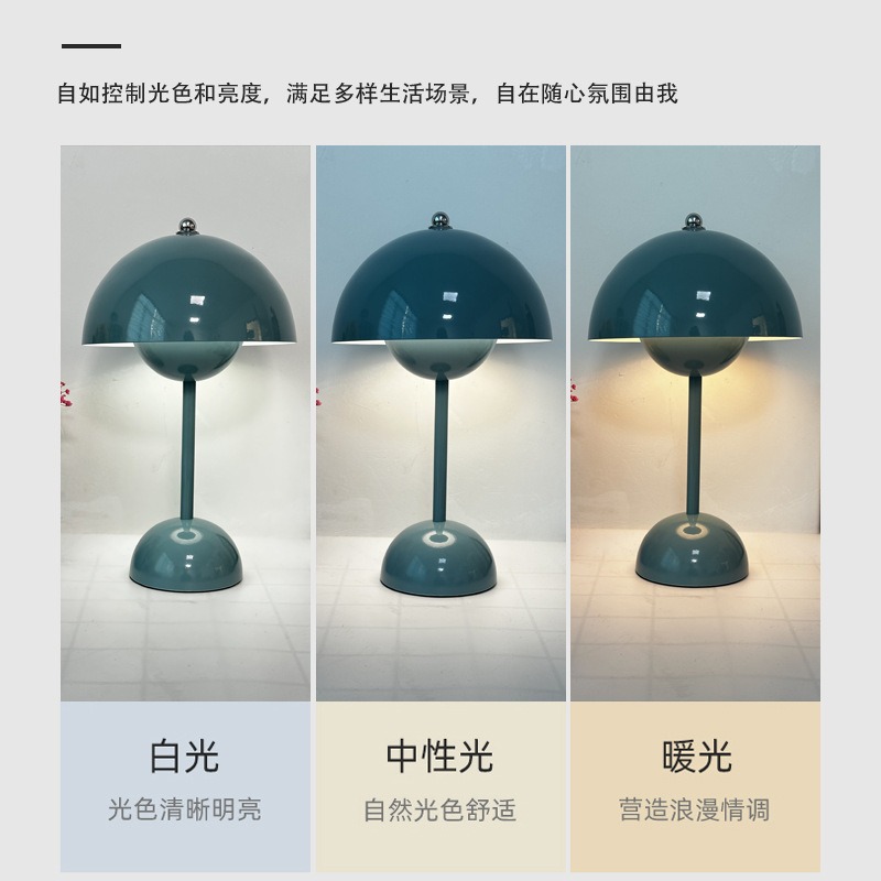 Cross-Border Hot Decorative Desk Lamp Source Factory Spot Spot Usb Charging Touch Bedroom Mushroom Bud Table Lamp details Picture