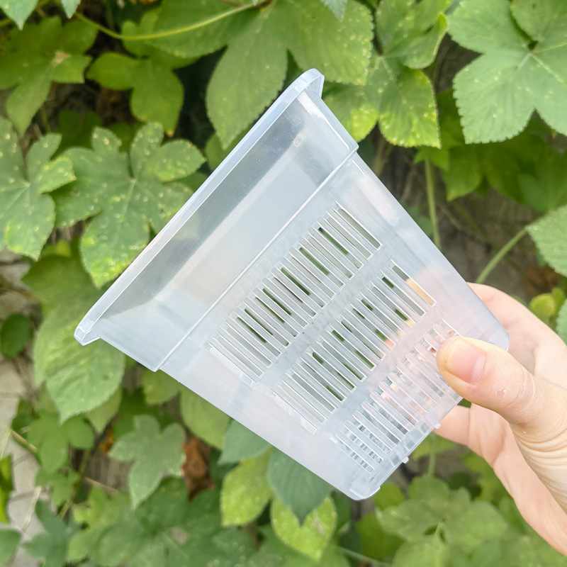 Orchid potted square pot, thickened breathable plastic flowerpot, root control pot, Phalaenopsis planting basket, orchid and pothos hydroponic basket details Picture