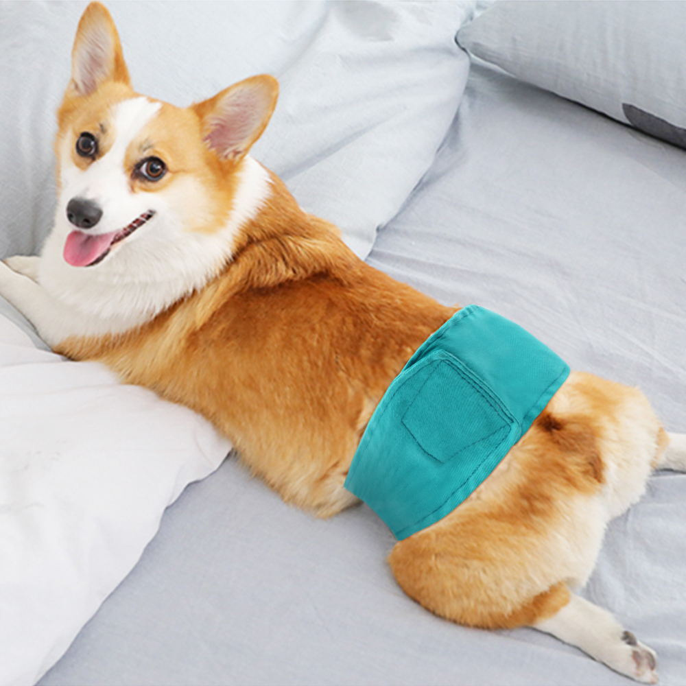 Pet clothing, pet dog diapers, male dog physiological pants, washable baby dog clothes, anti-harassment cat and dog clothing supplies Application Scenario