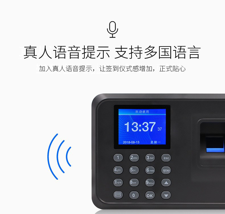 其他居家日用实物图