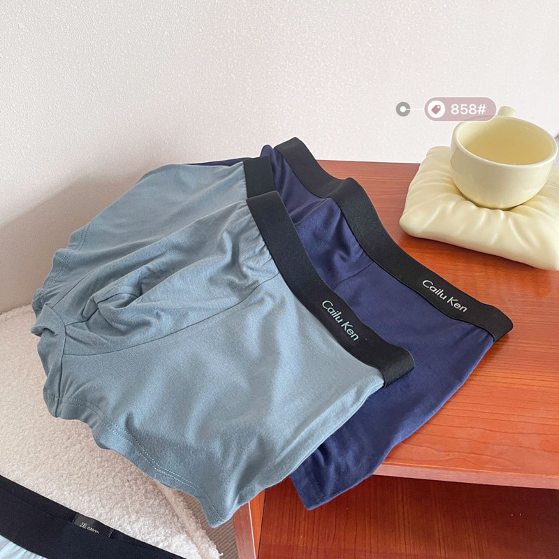 Men's Modal Boxer Briefs Breathable And Comfortable Panties Graphene Antibacterial Crotch Boxer Shorts Head Men Quick Dry Application Scenario