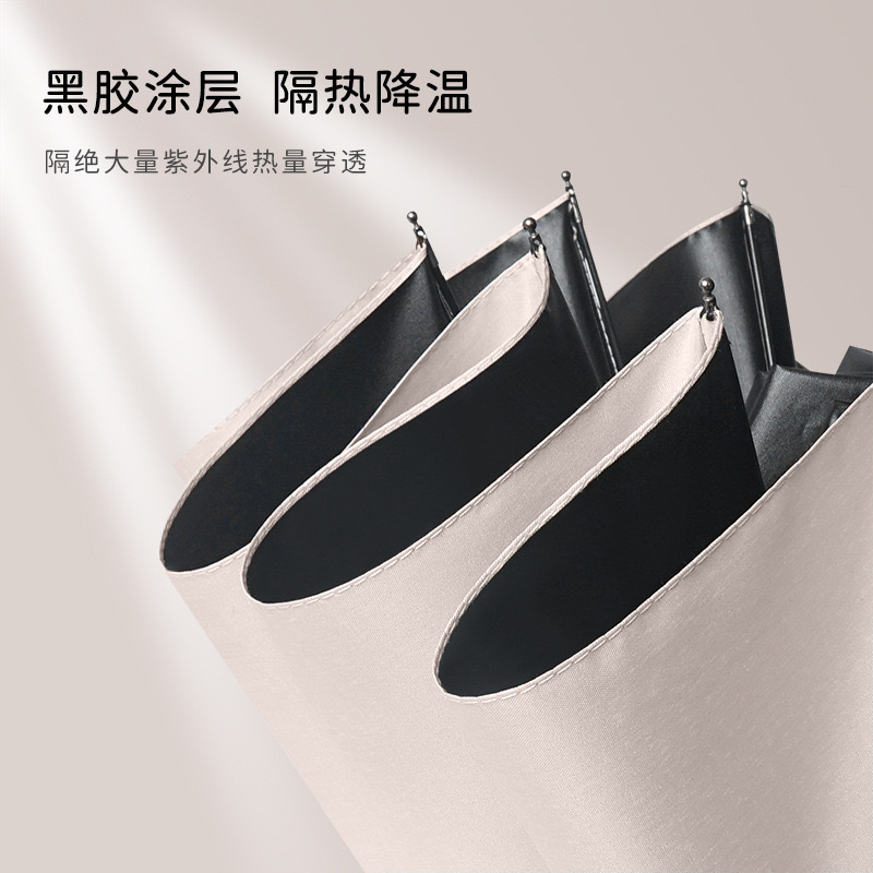十二骨全自动产品图