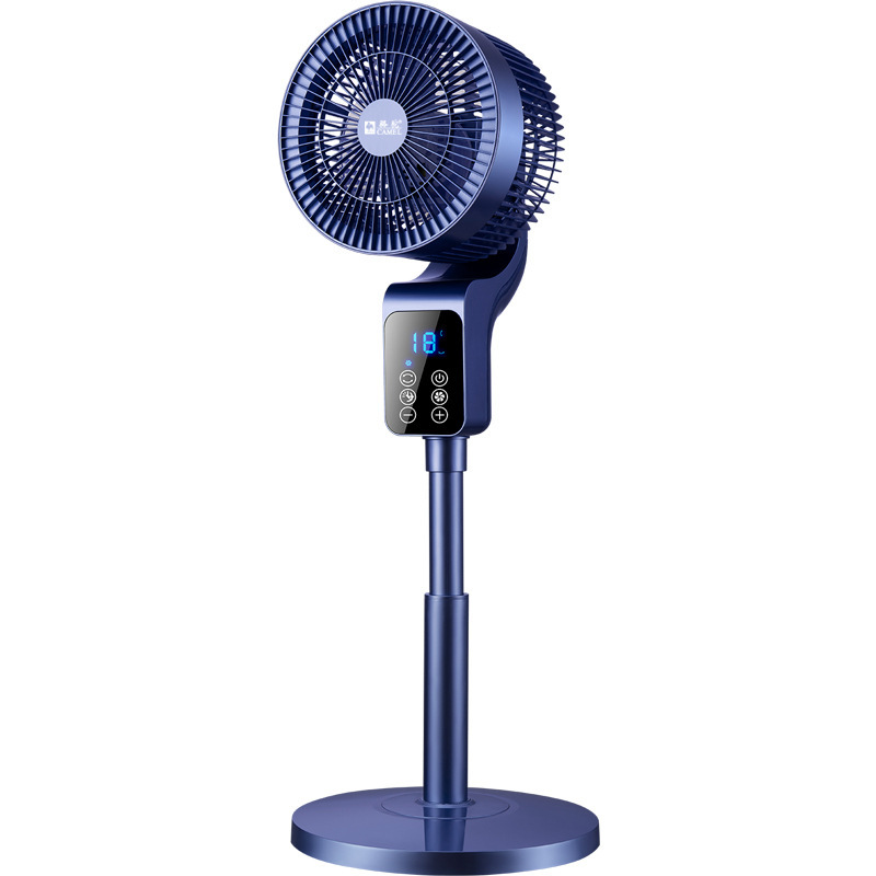 import白底实物图