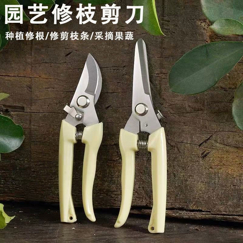 import产品图
