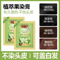 Color to plant extract fruit oil dye bag hair dye herbal hair dye cream non-stick hair cover white hair wholesale