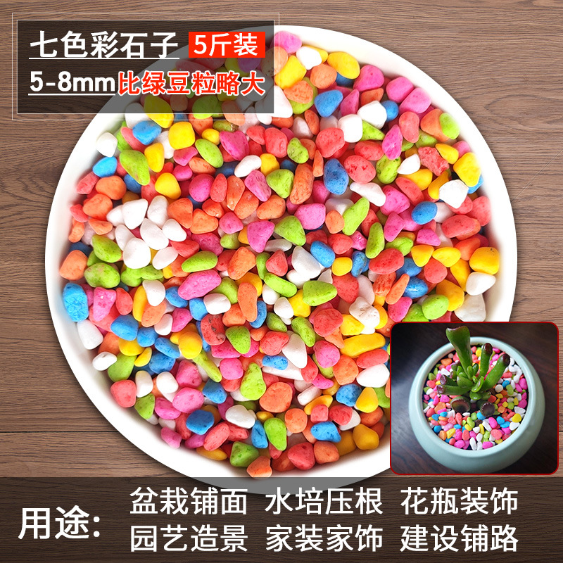 Garden Fish Tank Colorful Small Stone Natural Flower White Small Stone Succulent Planter Pot Colorful Sand Item Picture