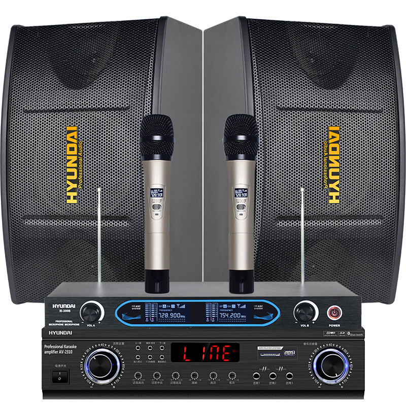 Modern Home Theater Ktv Audio Set Home Conference Bluetooth Amplifier Speaker Combination Karaoke Conference details Picture