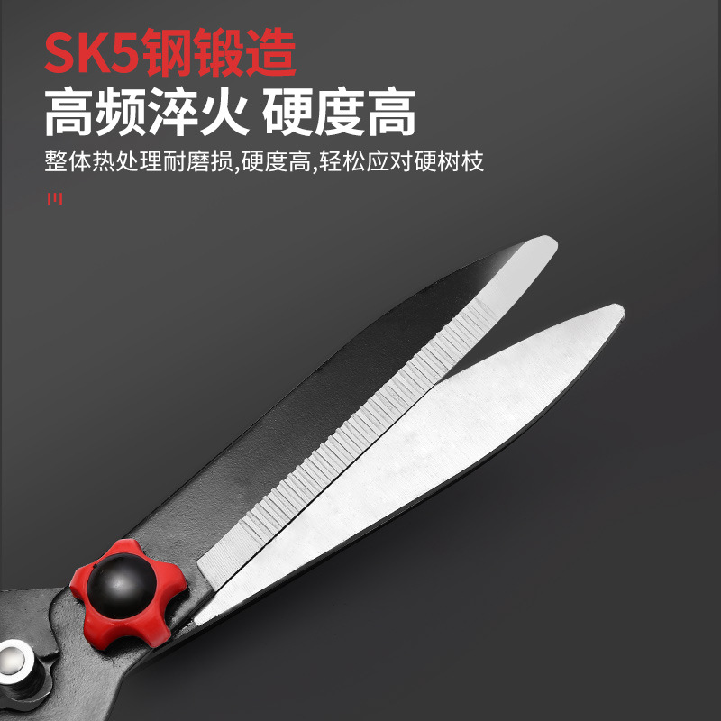 Garden Flowers And Trees Pruning Hedge Shears Garden Greening Flat Pruning Hedge Pruning Branches details Picture