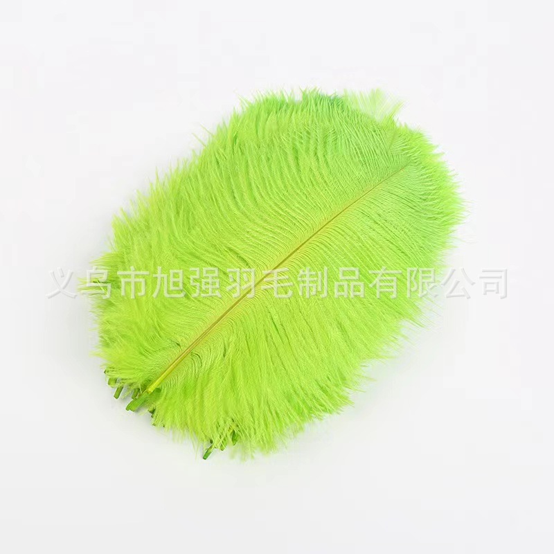 Spot 15-20Cm Color Ostrich Feather Diy Hair Accessories Accessories Wholesale Feathers Spot Manufacturers Direct Sales Application Scenario