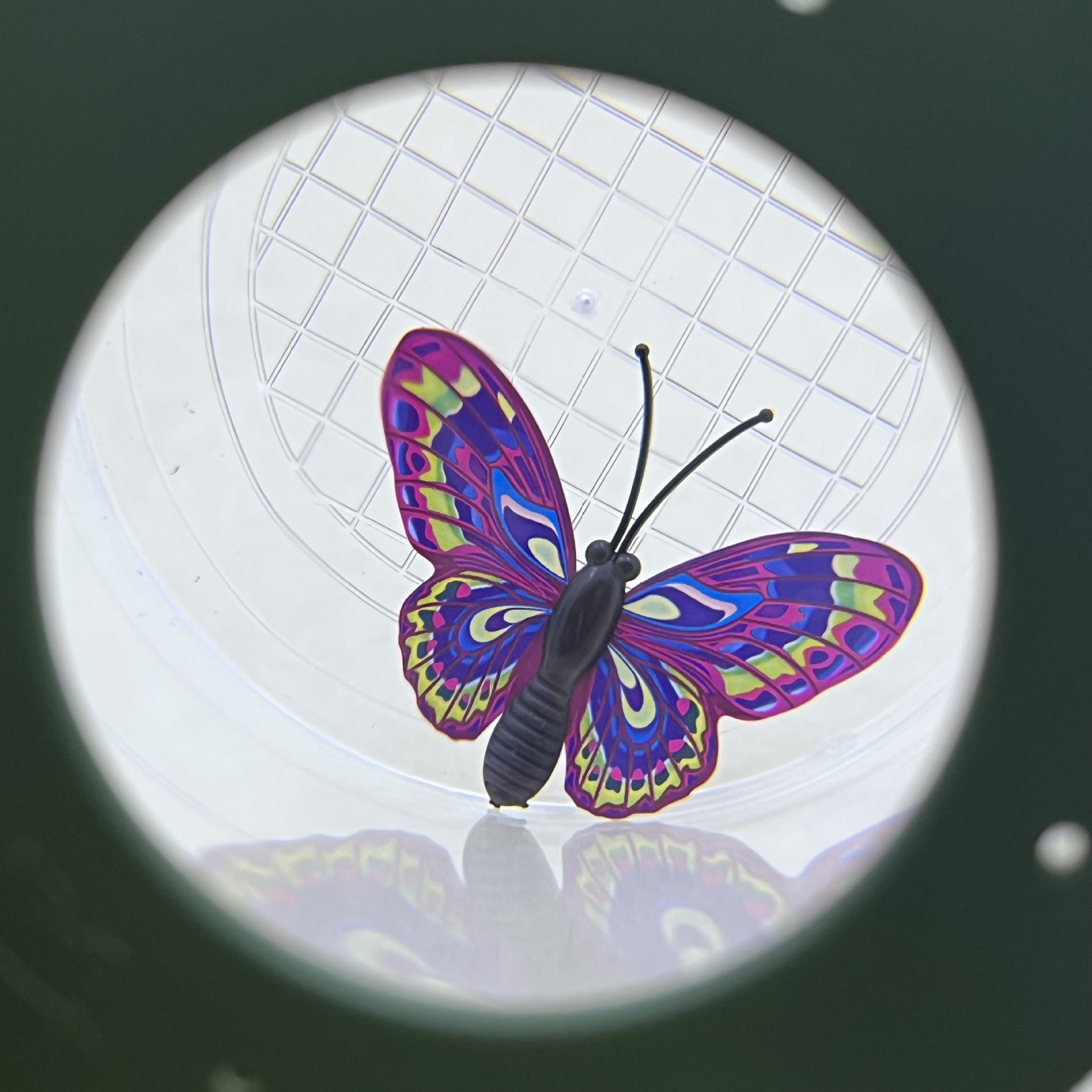 New cross-border insect observation bucket, insect observation box, insect breeding box, large bucket-shaped magnifying glass Application Scenario
