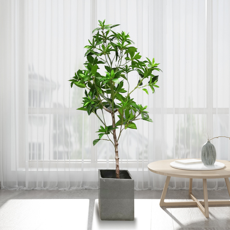仿真盆栽绿植/马醉木北欧落/仿真树产品图