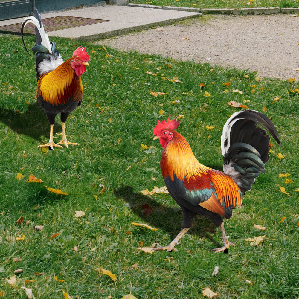 Cross border explosion three-dimensional simulation rooster yard yard art garden outdoor decoration acrylic plug-in details Picture