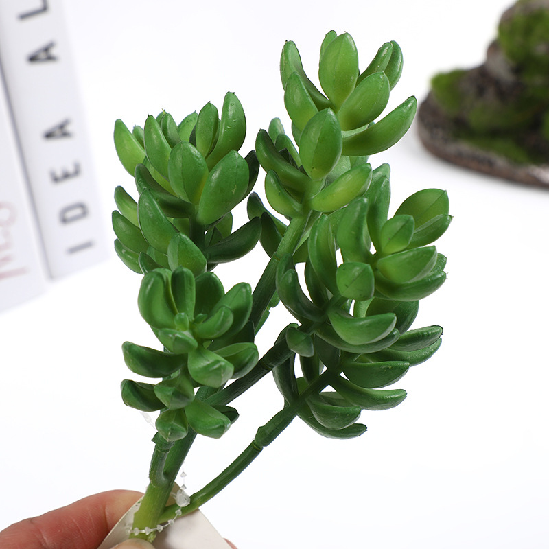 New Simulation Plastic Fleshy Lifelike Feel Flower Arrangement Fleshy Gardening Decoration Fleshy Green Plant Multi-Head Combination Wholesale Item Picture