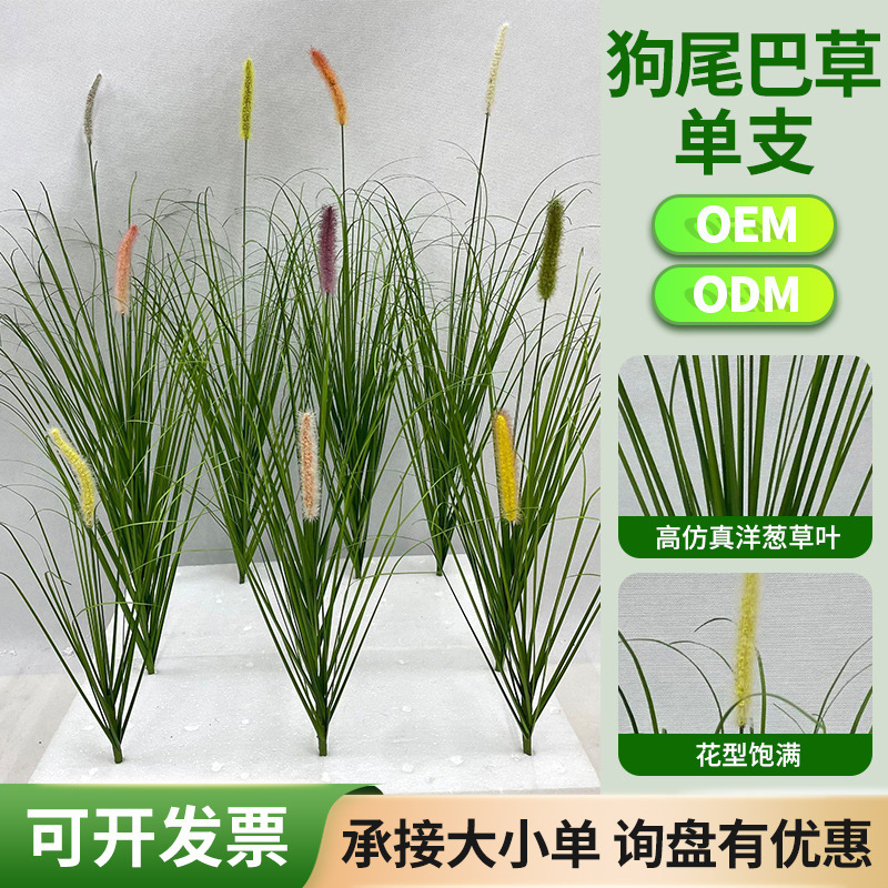 绿植蒲苇草单支狗尾巴芦苇植物墙造景庭院工厂直批现货直发仿真