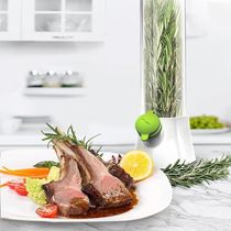 Herb and vegetable fresh-keeping box Anti-crushing environmental preservator Creative cilantro fresh-keeping cup
