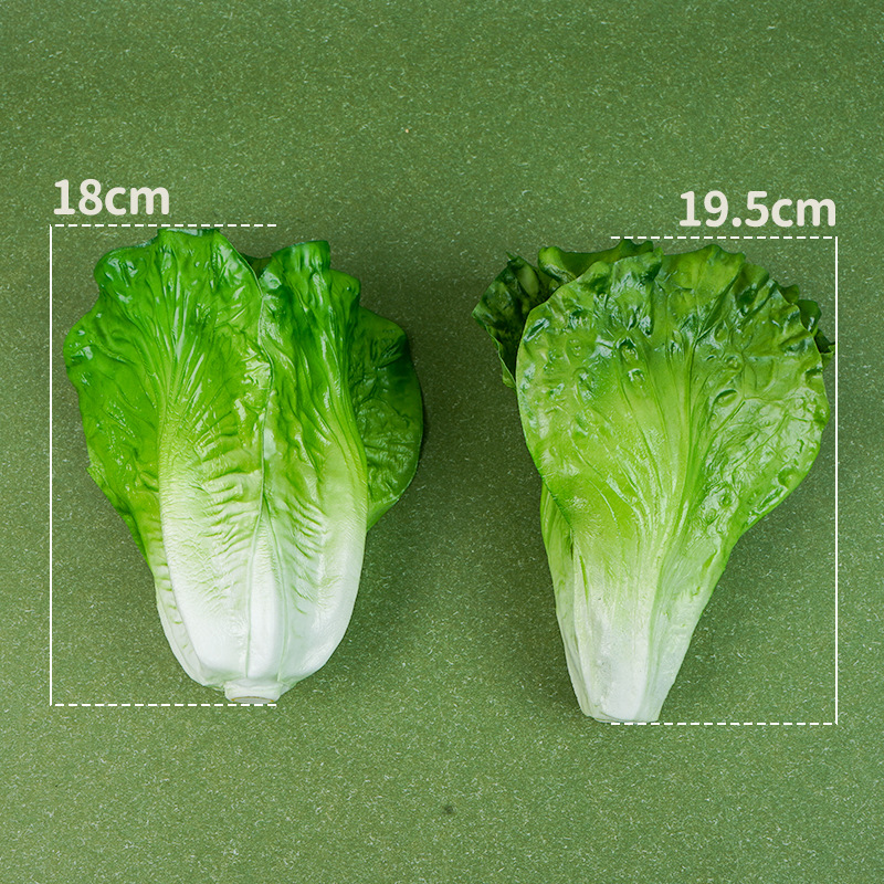 假蔬菜儿童早教玩具生菜叶大片叶子饭店装饰道具果蔬模型仿真生菜