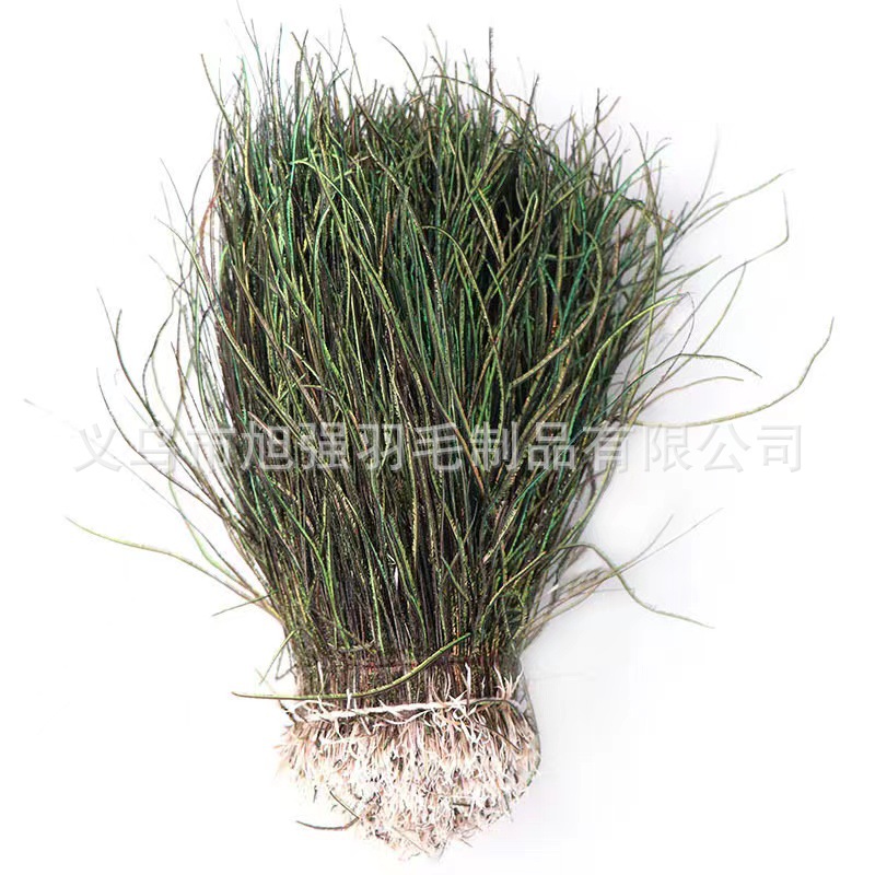 现货孔雀丝/羽毛草穿条飞/15-20cm产品图