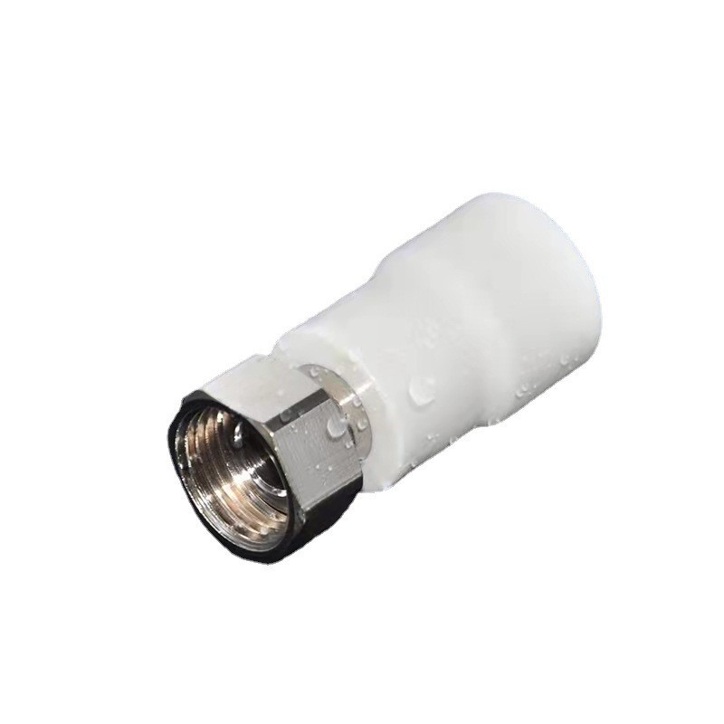 import白底实物图