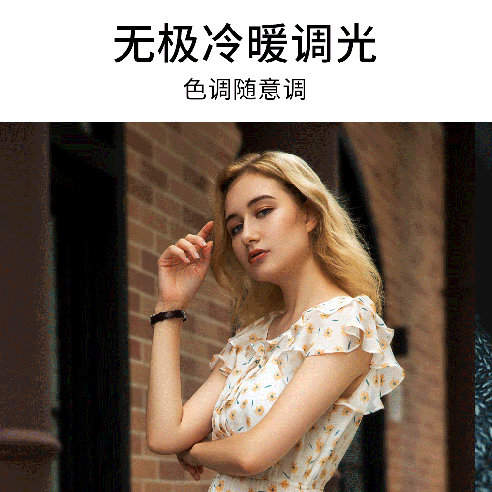 AL81 Pro Video conference fill light, universal computer live streaming photography light, soft light, fill light Application Scenario